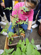 7bd81dff-72ed-4ac4-87a4-ccf4195d1cb1