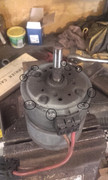 20190516-172759.jpg
