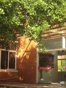 photo 10 2026 01 03 21 19 51