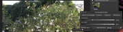 [Image: Tons-fonc-s-ton-clairs.png]