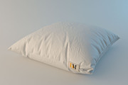 Pillow-4.jpg