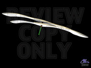 2905443120046342459CAEGZZ_fs