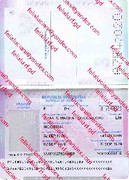Indonesia Passport_cleaned