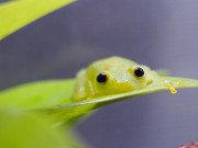 IMG-4839