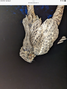 289FAFE8-9F00-44C7-B9AF-1C9716276347