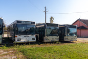 Mercedes-Benz-o407-amp-Citaro