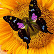 703F21EE-0C66-4DF2-933A-5BC48B5A21D4