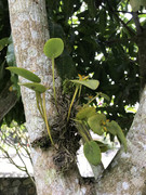 IMG-8319