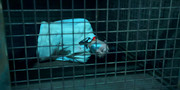 Lee-Soo-hyun-Gajokgyehoek-EP5