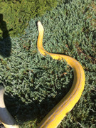 E1F8669E-661F-4D2A-A6DC-1F1314FBA141