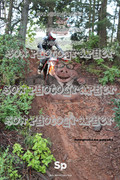 IMG-0331