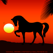 Red Sun Silhouette Horse Avi