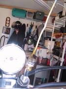 Forksprings012_zps0560ba00