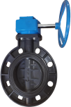 Worm Gear Butterfly Valve Real Photo