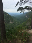 D5544962-235F-43EB-AC6F-5F0F6514D4FD