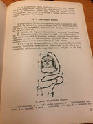 5badb255-5637-4ba0-9969-9d4593496dca