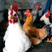 4280c748bc88660671438990449a1a33