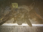 IMG-20200509-214544