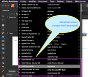 [Image: Police-Arial.png]