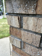 IMG-1434