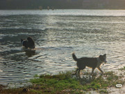 photo 3 2025 12 14 21 51 41