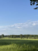 [Afbeelding: IMG-4278.jpg]