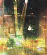 Tumblr l 502287201597194