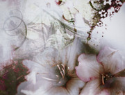 Tumblr l 502334775092748