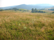 ADP System - Zelezniza 2009 (29)