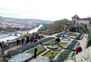 IMG-20191005-123108