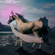 R2T2-Blank Spectator