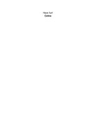 A-Modern-Guide-10