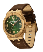 AI6008 BRZ0B 630 M 6