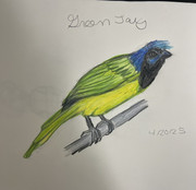 Bipolar Check-in #88 (again!)
