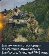 https://i.postimg.cc/PNB6rk9S/photo-2026-07-04-02-11-34.jpg