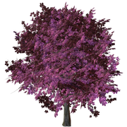 ISmell-Autumn-LL-Element44