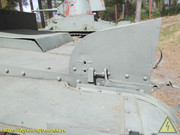 IMG-6515