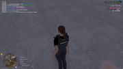 UKRAINE-GTA-10-11-2025-19-45-14