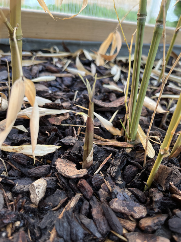 FE672DDD-7CDB-4CF4-A637-1564309FA126