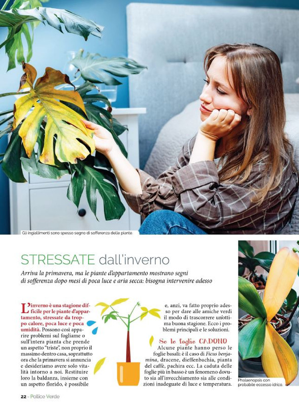 Pol Ver Mar 2023 (3)