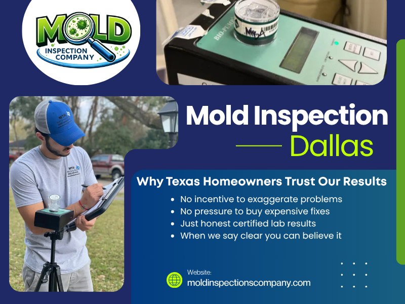 Mold Inspection Dallas
