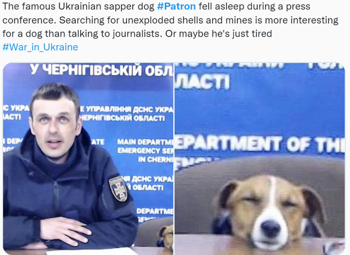 [Image: 2022-05-08-161244.png]