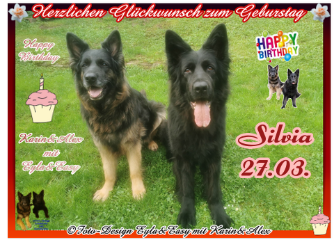 An den Beitrag angehängtes Bild: https://i.postimg.cc/PNGyZrGp/Vorlage-Geburtstag-2026-png-Silvia.png
