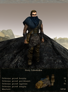 pancerze i ubrania (26)