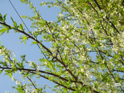 photo 14 2025 12 24 16 27 05