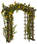 0-1c0bc7-b377f7-orig