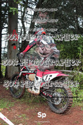 IMG-0039