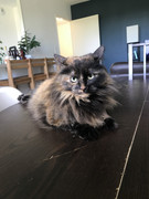 A3DE4776-E8AC-4EE8-AFC3-F4AA82A37CF7