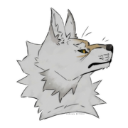 2024_11_17_0nz_Kleki