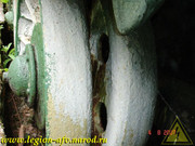 DSCN0180